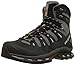 Salomon Men's Quest 4d 2 Gtx Backpacking Boot, Detroit/Black/Navajo, 12 M US