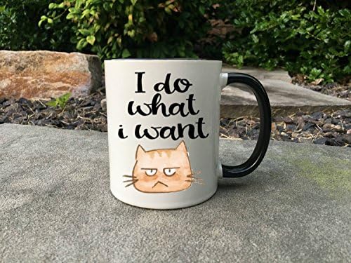 I Do What I Want Mug, Cat mug, Funny Cat Coffee Mug, Cat Lover Gift, Grumpy Cat Mug, Funny Mug, Sarcastic gift, mean cat mug, kitty mug