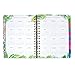 Lilly Pulitzer 17 Month Medium Agenda 2017-2018 (Flamenco Beach)