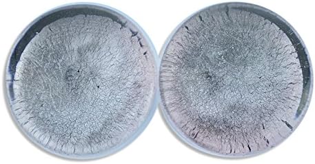 Metallic Lavender Single Flare Glass Plugs