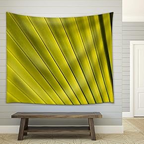 Texture of Green Palm Leaf Pattern Backround - Fabric Wall Tapestry Home Decor - 51x60 inches