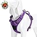 Chai's Choice - Premium Outdoor Adventure Dog Harness - 3M Reflective Vest with Two Leash Clips, Matching Leash and Collar Available (Purple Medium)