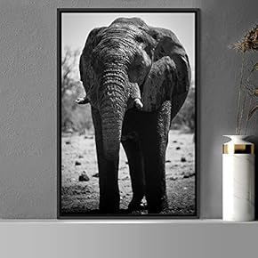 signwin Framed Canvas Wall Art Duotone Elephants Animals...