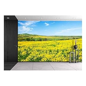 Green Field with Flowers Under Blue Cloudy Sky - Removable Wall Mural | Self-Adhesive Large Wallpaper - 66x96 inches