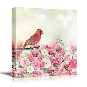 Canvas Wall Art Birds, Flowers, Owls, Butterflies Canvas Prints Home Artwork Decoration for Living Room, Bedroom - 12x12 inches