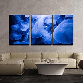 Transparent Jellyfish x3 Panels