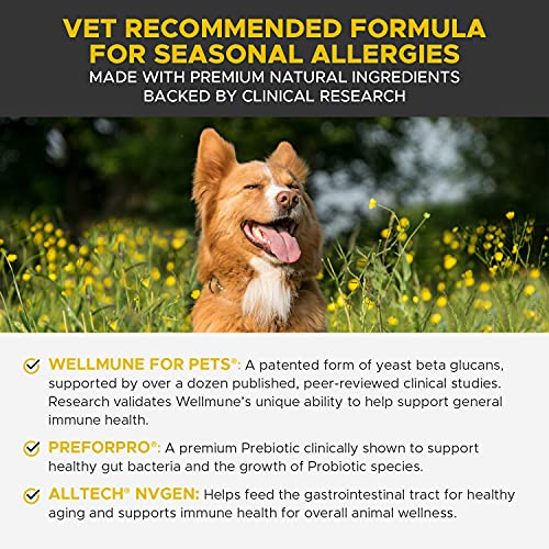 Pet Honesty Dog Allergy Relief Chews Max Strength, Omega 3 Salmon Fish