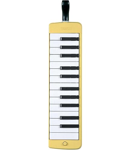 Amazon.com: HAMMOND BB PRO-24B Bass Melodica : Musical Instruments