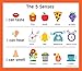 TestingMom.com Gifted Learning Flash Cards for Kids - General Knowledge Flashcards for Pre K to Kindergarten - G&T Educational Practice Test: CogAT, Iowa, OLSAT, NYC Gifted & Talented, WPPSI, AABL