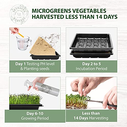Skyhaven Harvest Hydroponic Microgreens Grow Kit Give The Gift of a