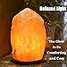 Feiuruhf Himalayan Salt Rock Lamp Hand Carved Organic Crystal Salt Night Light with Genuine Neem Wood Base, Bulb and Dimmable Switch for Home Office Hotel Steam Room (Large)