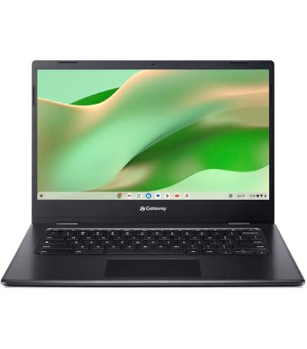 ASUS Chromebook C423NA 14.0