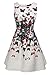 ARANEE Womens Floral Print Flare Sleeveless Vintage Floral Dress