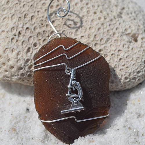 10 best microscope ornament for 2018