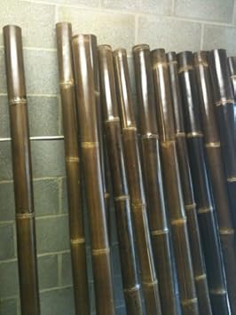 Decorative Giant Black Bamboo Canes Poles Outdoor Indoor Amazon