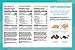 Caffeinated Energy Bar, Contains 80mg of Natural Caffeine = 8oz Cup of Coffee, Energy Bars Variety Pack 6 Count (3 Flavors) by Eat Your Coffee | Caffeine Snack Bars, Breakfast Bars, Vegan, Non GMO