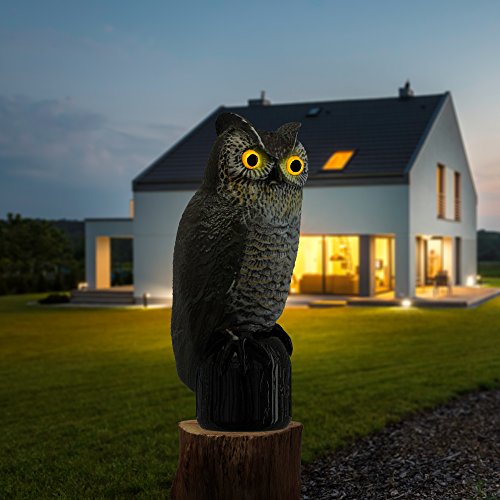 Hoont Realistic Owl Scarecrow with Flashing Eyes and Frightening Sound