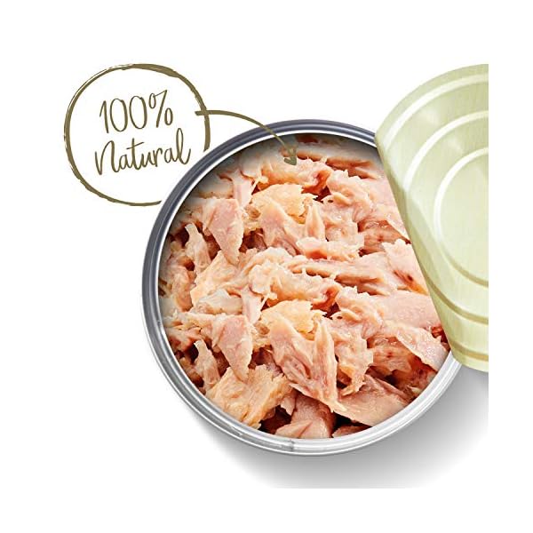 Applaws-100-Natural-Wet-Cat-Food-70g-Tuna-Fillet-24-x-70g-Tins Applaws 100% Natural Wet Cat Food 70g Tuna Fillet 24 x 70g Tins