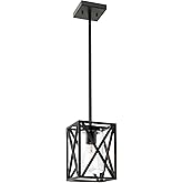 TODOLUZ 1-Light Farmhouse Pendant Light Black Cage Hanging Ceiling Lights with Clear Glass Shade for Kitchen Hallway Dining R