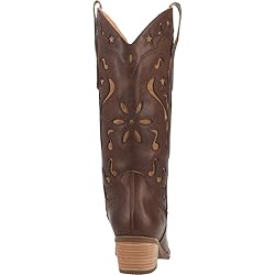 Dingo Music City Brown 7 B