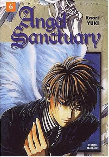 Download Angel Sanctuary. Tome 6 PDF