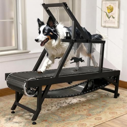 HotFeed DT04 Dog Treadmill