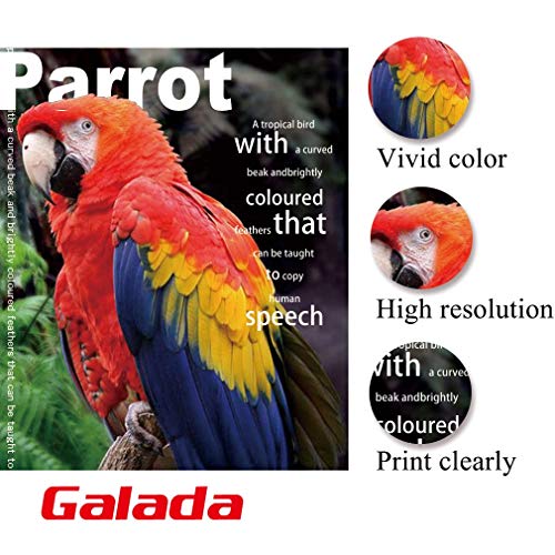 image for Galada Photo Paper 100 Sheets 4x6 Photo Paper High Glossy Vivid Color 