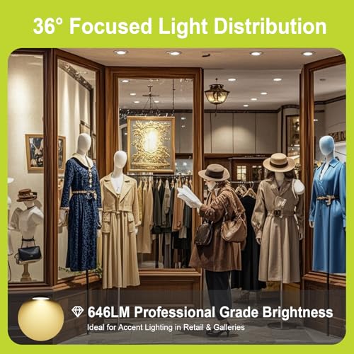 GY GU5.3 MR16 12V Spotlight LED Bulb 3.8W, Equivalent 60W Low Consumption, Warm White 2700K, 663 Lumens, Narrow Beam Angle 36° Spotlight, Non-Dimmable, Pack of 12
