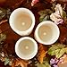 Genuine Wax Flameless Candle Set - LED Candle Set of 3 Pillars - Auto Timer & Remote Control - Battery Operated