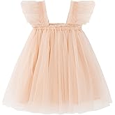 AGQT Baby Girls Tutu Dress Sleeveless Toddler Infant Tulle Tutu Layered Lace Mini Dresses Size 9M-5T
