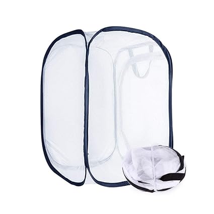 Leoie Butterfly Observation Cage Collapsible Insect Cage Insect Control Seedling Light Transmission Incubator 40*40*60