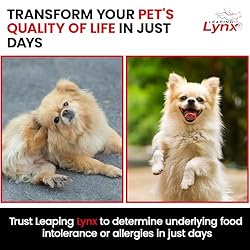 Vet-Recommended Pet Food Sensitivity & Intolerance