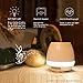 Okearin F1 Bluetooth Speakers Night Light Breathing Light Music Flower Pots Smart Plant Pots Play Music by Touching Plants Rechargeable Indoor Outdoor Office Home Decor Festivel Gift (White No Plant)