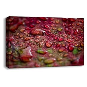 Leaf Veins Pictures Home Wall for Bedroom Living...