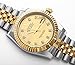 Topwatch Sangdo Men's with Diamond Round Gold Stainless Steel Automatic Mechanical Watches