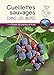 Cueillettes sauvages dans les Alpes : 60 plantes et fruits à glaner by