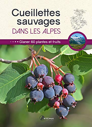 Cueillettes sauvages dans les Alpes : 60 plantes et fruits à glaner by Philippe Chavanne, Jean-Marie Polese