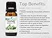 BioFinest Thyme Oil - 100% Pure Thyme Essential Oil - Premium Organic - Therapeutic Grade - Aromatherapy - Boost Memory - Balance Hormone - FREE E-Book (10ml)