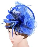 Womens Feather Mesh Fascinator Hat with Headband Royal Blue