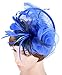 Womens Feather Mesh Fascinator Hat with Headband Royal Blue