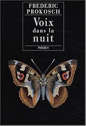 Voix dans la nuit