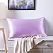 Silk Pillowcase for Hair and Skin with Hidden Zipper, Ravmix Both Sides 21Momme Mulberry Silk Cooling Pillow Case Standard Size 20×26inches, 1PCS, Light Purple