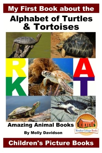 My First Book about the Alphabet of Turtles