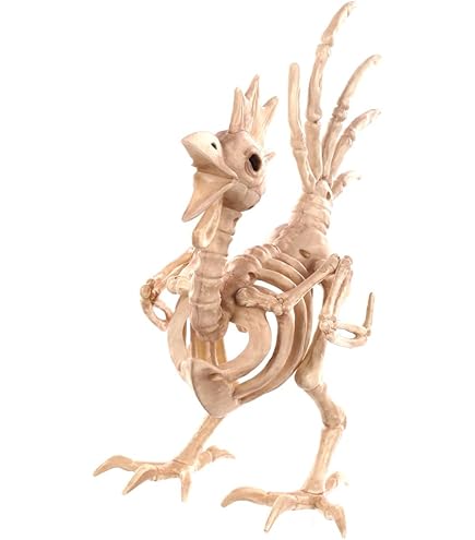 Amazon.com: Crazy Bonez Skeleton Parrot : Home & Kitchen