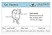 PUPTECK Adjustable Cat Harness and Leash Set Escape Proof Kitten Strap Collar for Walking Travel, Blue