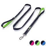 Paw Lifestyles Heavy Duty Dog Leash - 2 Handles - Padded Traffic Handle for Extra Control, 7ft Long - Perfect Leashes for Medium to Large Dogs (Black and Green)