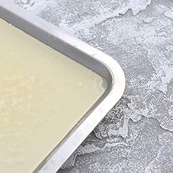 UKCOCO Wax Dissection Tray - Stainless Steel