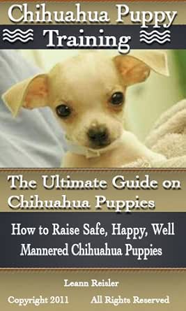 chihuahua obedience training