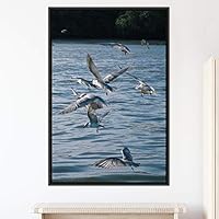Framed Canvas Wall Art Flock of Birds Beach Birds Expressive Group Living Room Multicolor Photography - 16x24 inches