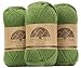 (3 Small Gorgeous Skeins) Alpaca Yarn Blend Umayo [657 Yards Total], #2 Fingering (Matcha Green)